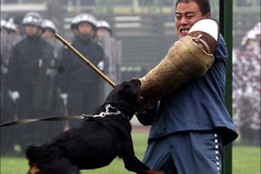 f_A police dog attacks an escaped convict during a demonstration in Xian, northern China's Shaanxi province 26 October 2006. China has recently ordered its national police to leave their desks and get out among