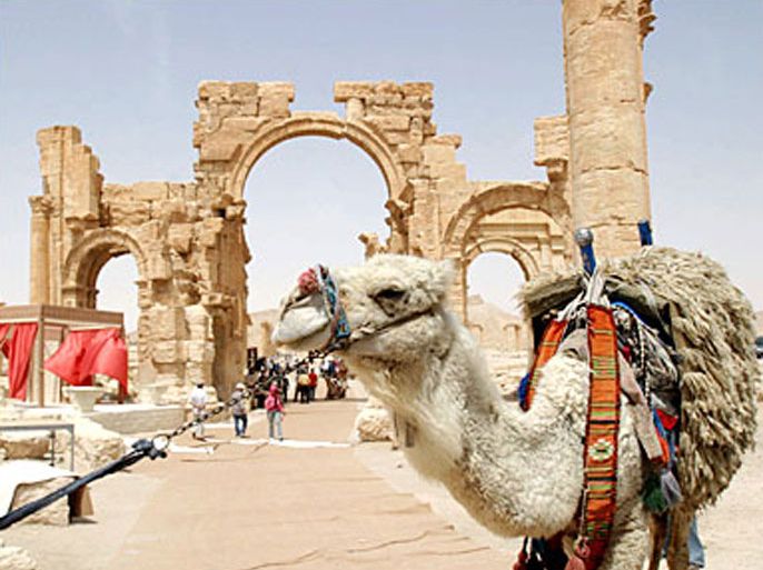 AFP / A picture shows a camel in the historic town of Palmyra during the al-Badia festival, northeastern Damascus, 05 May 2007. The festival activities, held by the Ministry of Tourism,