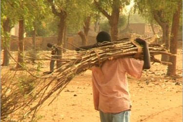 التأثيرات الإجتماعية للجفاف والتصحر في النيجر