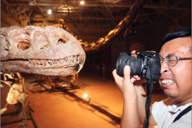 A visitors takes a picture of the fossilised head of a dinosaur at a museum in Kunming, in southwest China's Yunnan province on August 12, 2009