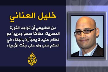 لا تجهضوا الثورة المصرية - الكاتب: خليل العناني