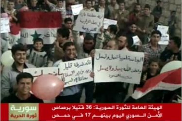 صورة من مظاهرات جمعة الحظر الجوي في سوريا