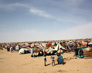 مخيم النازحين قرب فصالة