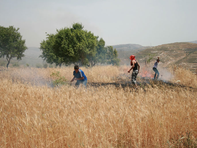 شبان فلسطينيون يحاولون إخماد نيران  أشعلها مستوطنون بأراضيهم (الجزيرة)