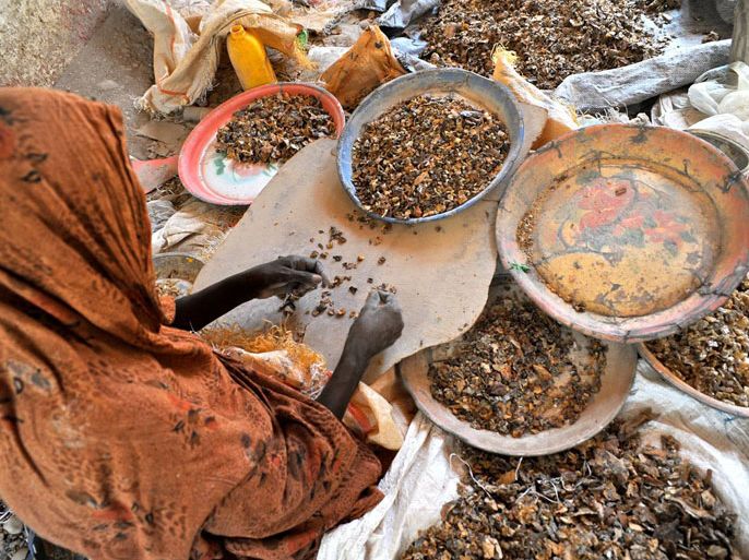 إمرأ ة صومالية تقوم بتنظيف البخور قبل تصديره