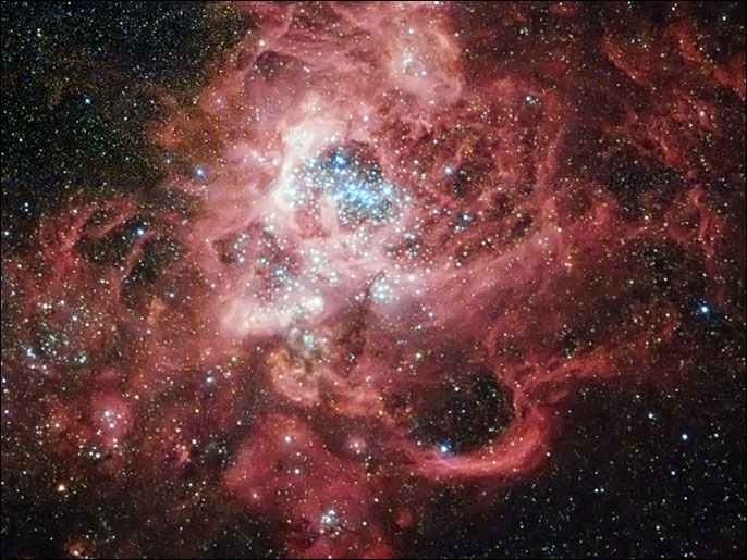 This NASA image obtained December 17, 2012 shows how about 3 million years ago in the nearby galaxy M33, a large cloud of gas spawned dense internal knots which gravitationally collapsed to form stars. NGC 604 was so large, however, it could form enough stars to make a globular cluster. Many young stars from this cloud are visible in this image from the Hubble Space Telescope, along with what is left of the initial gas cloud. Some stars were so massive they have already evolved and exploded in a supernova. The brightest stars that are left emit light so energetic that they create one of the largest clouds of ionized hydrogen gas known, comparable to the Tarantula Nebula in our Milky Way's close neighbor, the Large Magellanic Cloud.   = RESTRICTED TO EDITORIAL USE - MANDATORY CREDIT " AFP PHOTO / NASA/" - NO MARKETING NO ADVERTISING CAMPAIGNS - DISTRIBUTED AS A SERVICE TO CLIENTS =