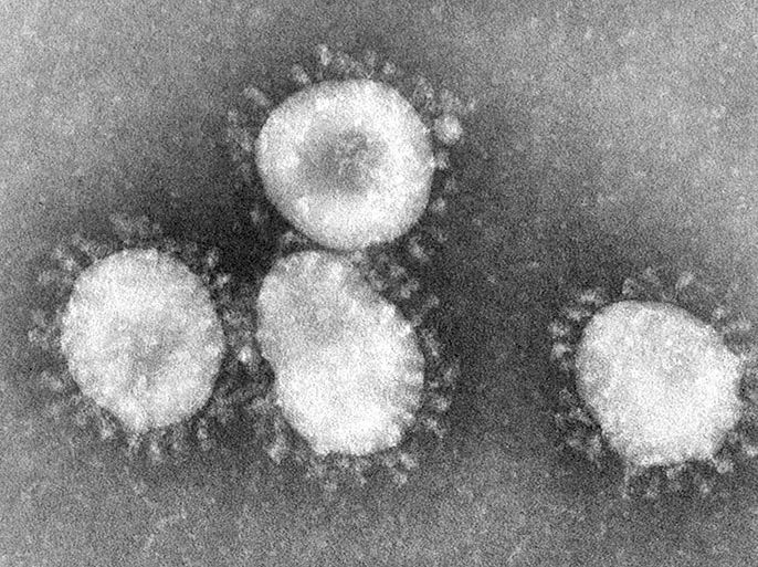 Handout picture dated April 2003 shows a Coronavirus under a microscope. Coronaviruses are a group of viruses that have a halo or crown-like (corona) appearance when viewed under a microscope. US Centers for Disease Control (CDC) scientists were able to isolate a virus from the tissues of two patients who had SARS and then used several laboratory methods to characterize the agent. Examination by electron microscopy revealed that the virus had the distinctive shape and appearance of coronaviruses. B/W ONLY EPA PHOTO EPA / CDC