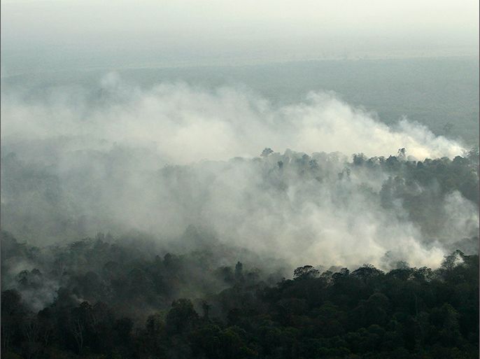 An aerial view of burned trees is seen during the haze in Indonesia's Riau province June 28, 2013. Indonesian investigators are building criminal cases against eight Southeast Asian companies they suspect of being responsible for raging fires that have blanketed neighbouring Singapore and Malaysia with hazardous smog. REUTERS/Beawiharta (INDONESIA - Tags: DISASTER ENVIRONMENT HEALTH)