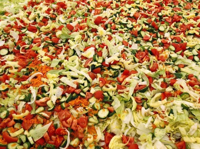 A mix of vegetables as part of the world's biggest vegetable salad is seen during a Guinness World Record attempt in Pantelimon, near Bucharest September 23, 2012. The salad is made of about 20 tonnes of tomatoes, cucumbers, onions, carrots, olives, sweet peppers, green salad, olive oil and salt.