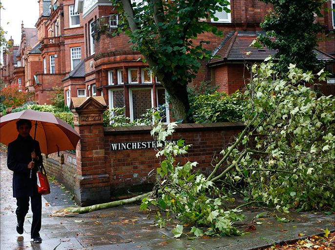 epa03927719 A woman passes by a fallen tree in London, Britain, 28 October 2013. The Met Office has updated its weather warning for the strong winds predicted on 27 and 28 October as a major storm crosses England and Wales