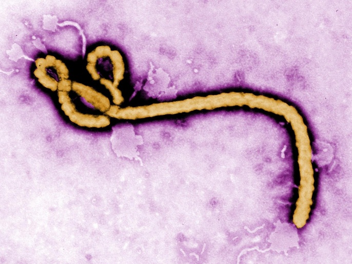 ‪إيبولا يقود لحمى نزفية‬  (الأوروبية)