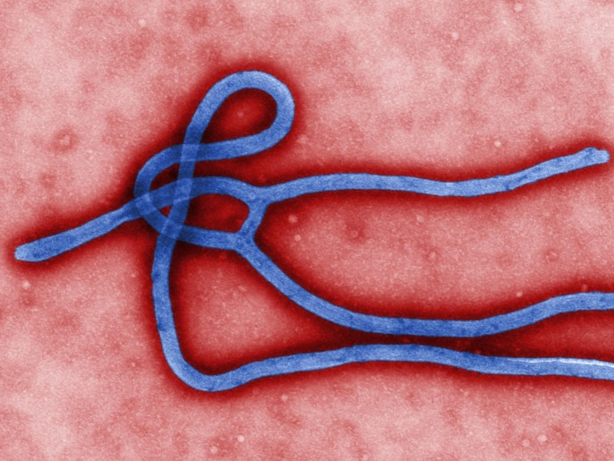 ‪حمى إيبولا مرض فيروسي‬ (الأوروبية)