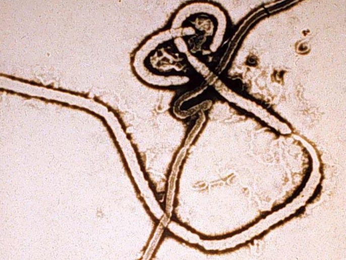 فيروس إيبولا يؤدي إلى وفاة أكثر من 50% من المصابين (غيتي إيميجز)