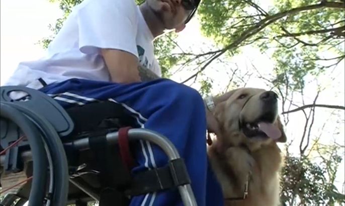 كلاب خاصة تساعد ذوي الإعاقة على تلبية احتياجاتهم بالبرازيل