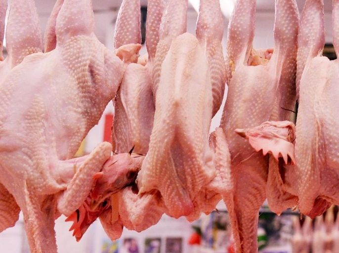 Chickens are seen on sale in a butcher shop in London, Britain 28 November 2014. The Food Standards Agency (FSA) has announced than 70% of fresh chickens being sold in Britain's supermarkets are contaminated with the Campylobacter bug.