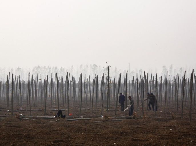 Residents plant trees, in an attempt to rejuvenate the soil, in front of the huge state-owned lead smelter in the town of Tianying, Anhui Province, November 19, 2012. In ramshackle semi-industrial Tianying in China's Anhui province, a state-owned lead smelter and foundry sits at the centre of town, behind high walls and secure gates that make it look more like a prison than the mainstay of the local economy. Decades of pollution from it and similar plants - Tianying once accounted for half of China's total lead output - has made much of the town's land uninhabitable and its water undrinkable. Picture taken November 19, 2012. To match Feature CHINA-CONGRESS/ENVIRONMENT.