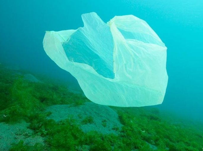 البلاستيك .. خطر دائم على الكائنات البحرية
