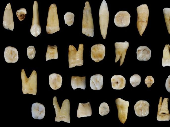 Forty-seven human teeth found in the Fuyan Cave in Hunan Province in China are pictured in this undated handout photo obtained by Reuters October 14, 2015. The trove of fossil human teeth from a cave in southern China is rewriting the history of the early migration of our species out of Africa, indicating Homo sapiens trekked into Asia far earlier than previously known and much earlier than into Europe. Scientists on Wednesday announced the discovery of teeth between 80,000 and 120,000 years old that they say provide the earliest evidence of fully modern humans outside Africa. REUTERS/S. Xing and X-J. Wu/Handout via ReutersATTENTION EDITORS - THIS PICTURE WAS PROVIDED BY A THIRD PARTY. REUTERS IS UNABLE TO INDEPENDENTLY VERIFY THE AUTHENTICITY, CONTENT, LOCATION OR DATE OF THIS IMAGE. FOR EDITORIAL USE ONLY. NOT FOR SALE FOR MARKETING OR ADVERTISING CAMPAIGNS. THIS PICTURE IS DISTRIBUTED EXACTLY AS RECEIVED BY REUTERS, AS A SERVICE TO CLIENTS. NO SALES. NO COMMERCIAL USE. TPX IMAGES OF THE DAY