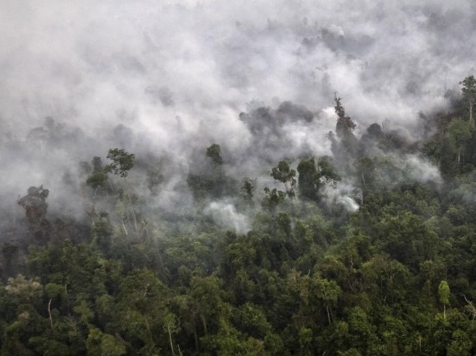 A forest fire is seen from a helicopter operated by the National Agency for Disaster Management (BNPB) over Langgam District, Riau province on the island of Sumatra in this September 23, 2015 file photo taken by Antara Foto. Home to the world's third-largest tropical forests â€“ and the world's fifth-largest emitter of greenhouse gases mainly due to their destruction - Indonesia will be one of the countries in the spotlight at December's U.N. climate change conference in Paris. The meeting will try to get legally binding commitments from the 190 member nations to slash greenhouse gases. To match Insight INDONESIA-FORESTS/ REUTERS/Regina Safri/Antara FotoATTENTION EDITORS - THIS IMAGE HAS BEEN SUPPLIED BY A THIRD PARTY. IT IS DISTRIBUTED, EXACTLY AS RECEIVED BY REUTERS, AS A SERVICE TO CLIENTS. FOR EDITORIAL USE ONLY. NOT FOR SALE FOR MARKETING OR ADVERTISING CAMPAIGNS. MANDATORY CREDIT. INDONESIA OUT. NO COMMERCIAL OR EDITORIAL SALES IN INDONESIA.