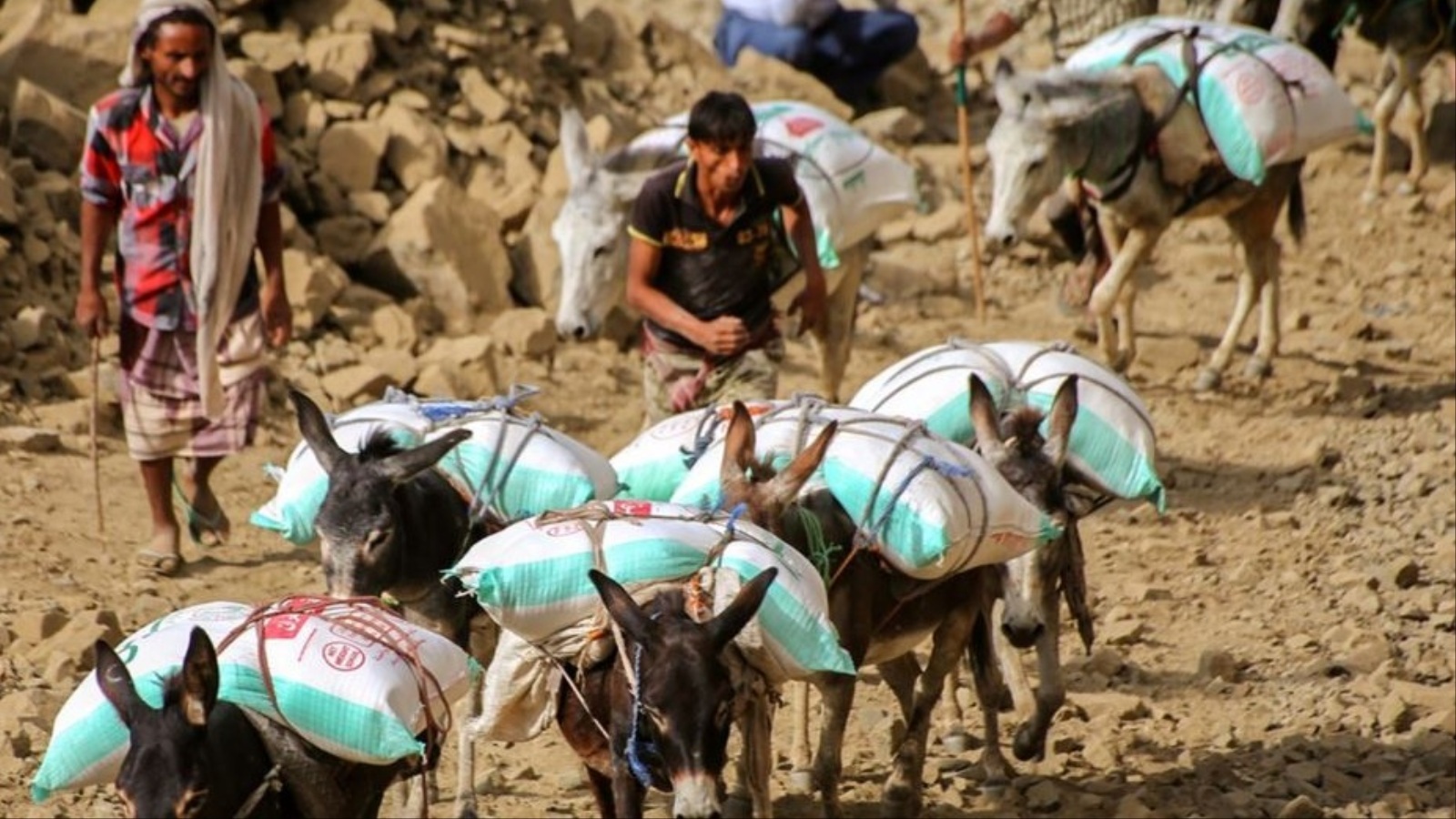 سكان تعز لجؤوا إلى الحمير لنقل احتياجاتهم بسبب الحصار الخانق الذي يفرضه الحوثيون (الفرنسية-أرشيف)