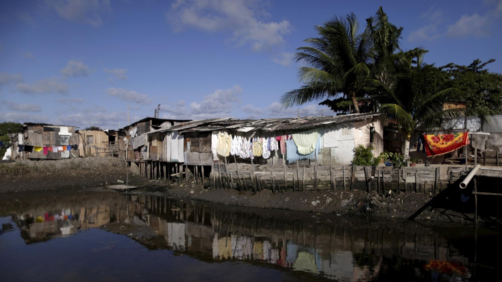‪أكثر من 11 مليون برازيلي يعيشون في مناطق عشوائية يكثر فيها البعوض‬  (رويترز)