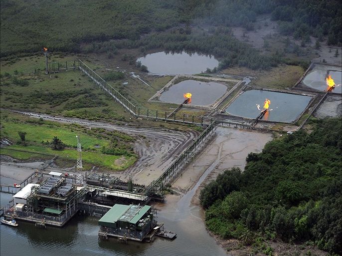 Shell Cawtharine channels at Awoba in the Niger Delta