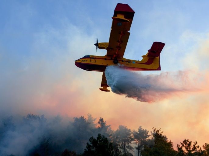 Israeli firefighter plane help extinguish a fire that erupted in a suburb of the coastal city of Haifa, north of Israel, 24 November 2016. The dry air and strong winds caused the fire transmission to different locations, Israeli police have opened an investigation into whether the fires that swept Israel is an active reaction, Israeli Police spokeswomen report. EPA/GIL ELIYAHU / JINIPIX ISRAEL OUT