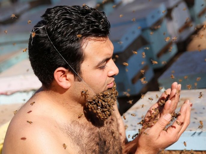 Mohamed Hagras, 31, prays as he performs the "Beard of Bee" before the upcoming Egyptian Agricultural Carnival of Beekeeping in his farm at Shebin El Kom city in the province of Al- Al-Monofyia, northeast of Cairo, Egypt November 30, 2016. Picture taken November 30, 2016. REUTERS/Amr Abdallah Dalsh