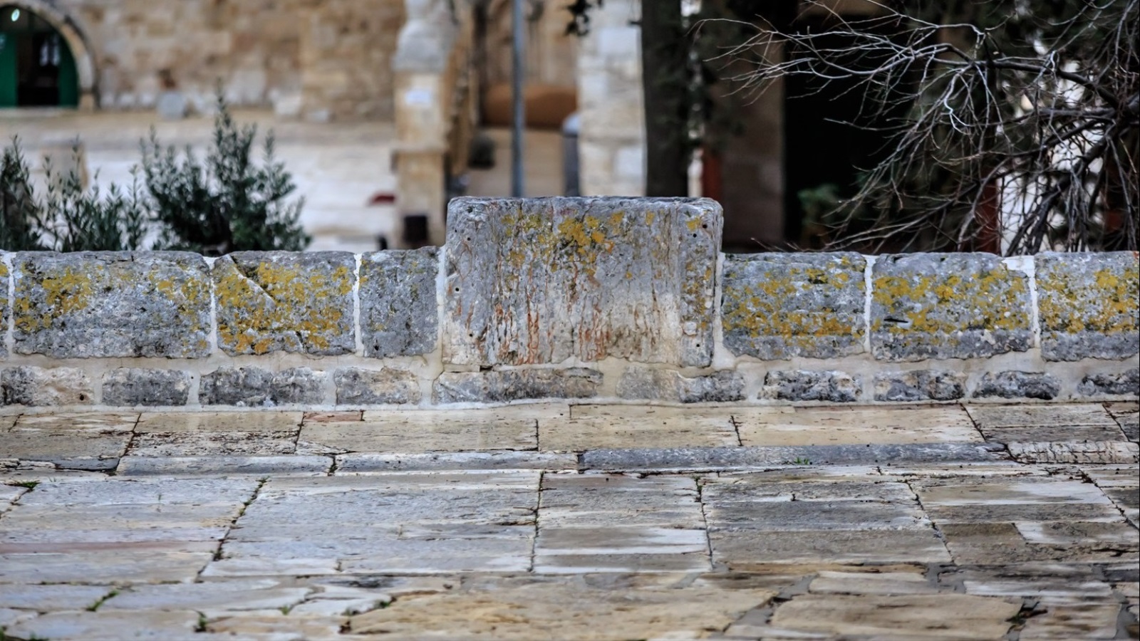 5675  - محراب صحن الصخرة، يقع على محيط صحن الصخرة الجنوبي بين البائكتين الجنوبيتيين، وهو حجر منحوت كشكل محراب منخفض القامة، يرجح أنه عثماني العهد.