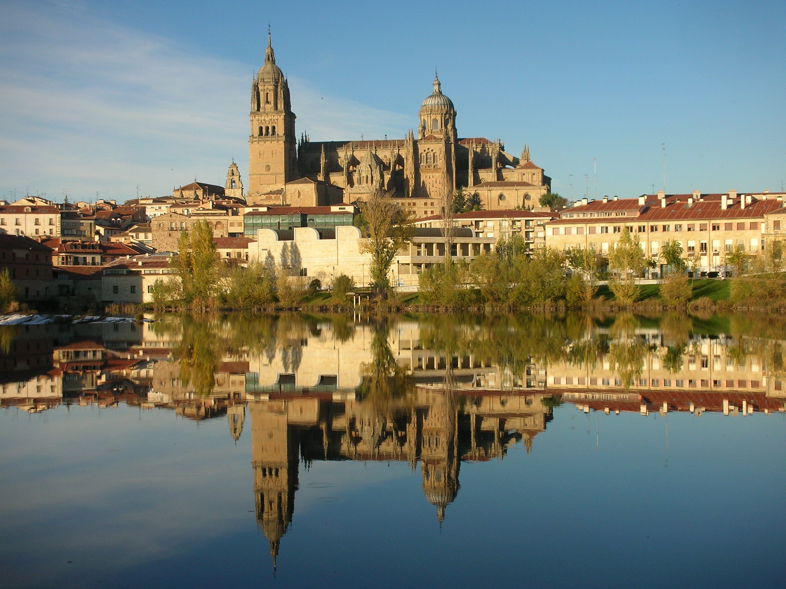 جامعة سلامنكا (Salamanca University) (مواقع التواصل )