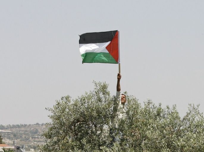 blogs - palestine flag
