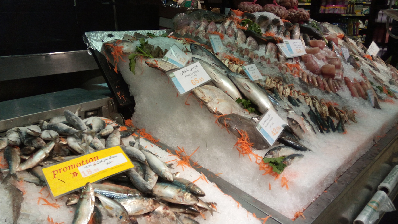 ‪الإقبال على شراء السمك انخفض إلى أقل من 50% بسبب ارتفاع أسعاره‬ (الجزيرة)