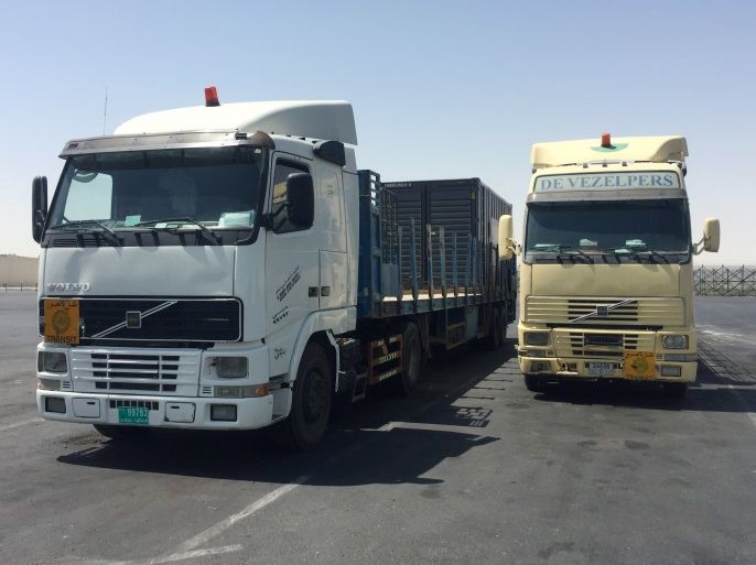 Trucks are seen at the Abu Samra border crossing with Saudi Arabia, in Qatar June 12, 2017. REUTERS/Tom Finn