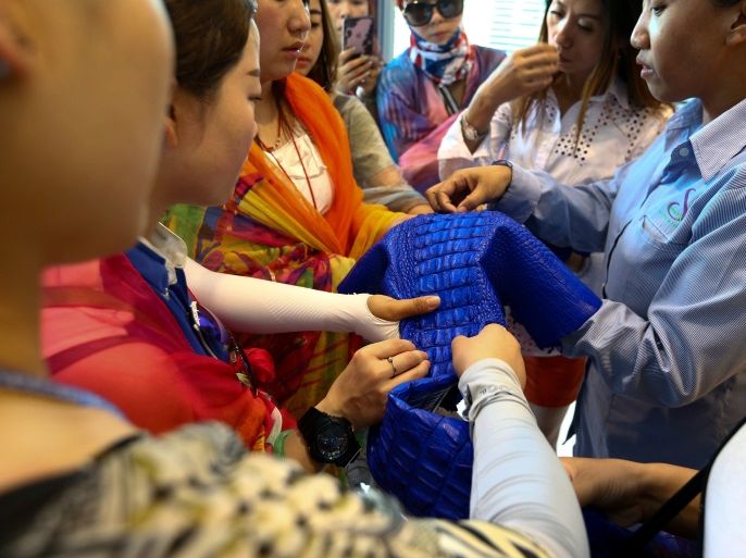 Chinese tourists touch a dyed crocodile skin at Sriracha Crocodile Farm in Chonburi province, Thailand, June 20, 2017. REUTERS/Athit Perawongmetha SEARCH