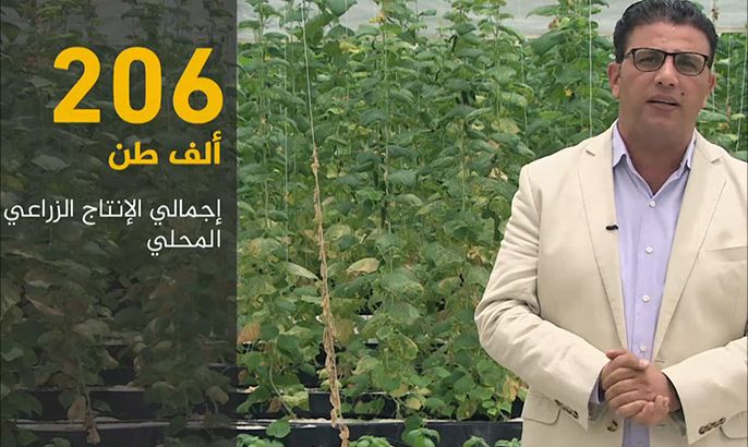 الاقتصاد والناس-قطر.. خطط طموحة لتحقيق الاكتفاء الزراعي