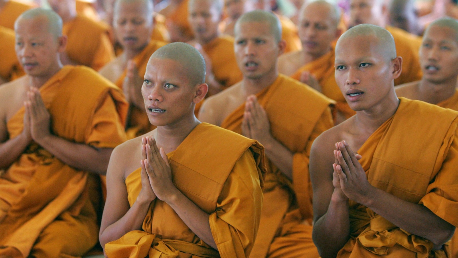 بعد مرور أقل من خمس سنوات على ثورة الزعفران، كان رهبان بورما على الشاشات يتوعدون في وسائل الإعلام التأثير الخبيث للمسلمين على الأمة البوذية
