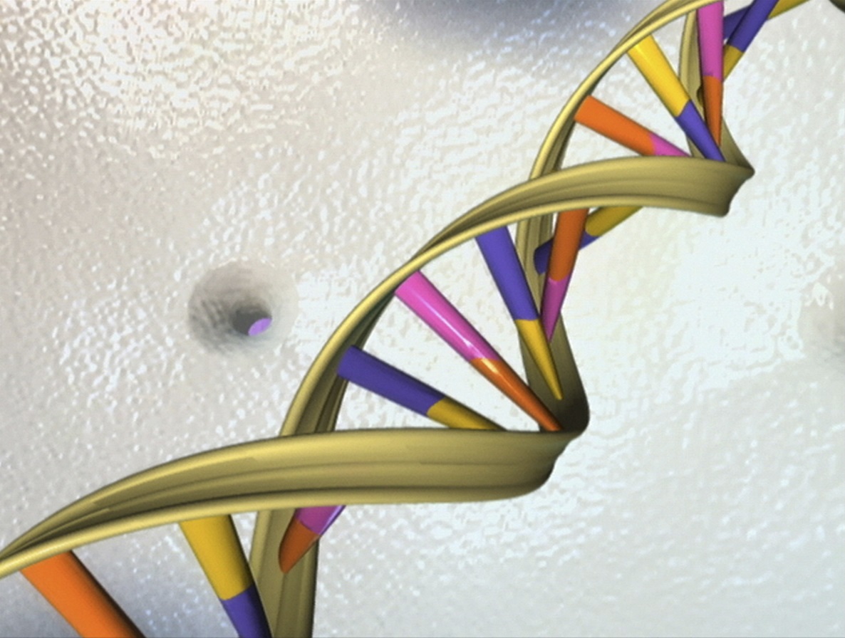 المادة المسؤولة عن توريث الصفات هي الحمض النووي (رويترز)