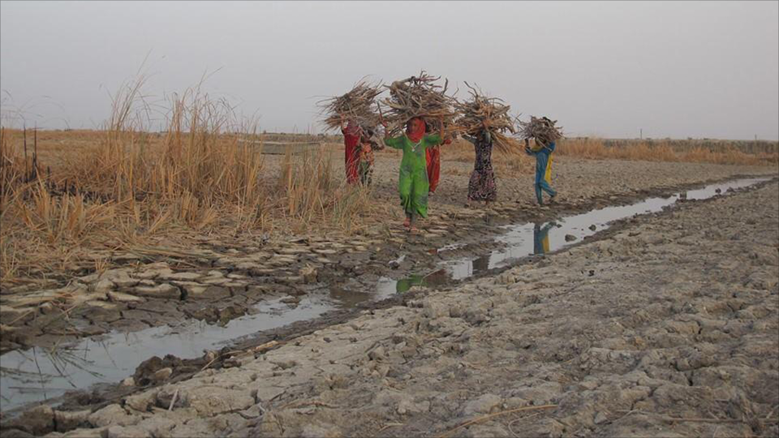 الجفاف متوقع أن يتسبب بأضرار كبيرة للزراعة والبيئة والحياة (مواقع التواصل)