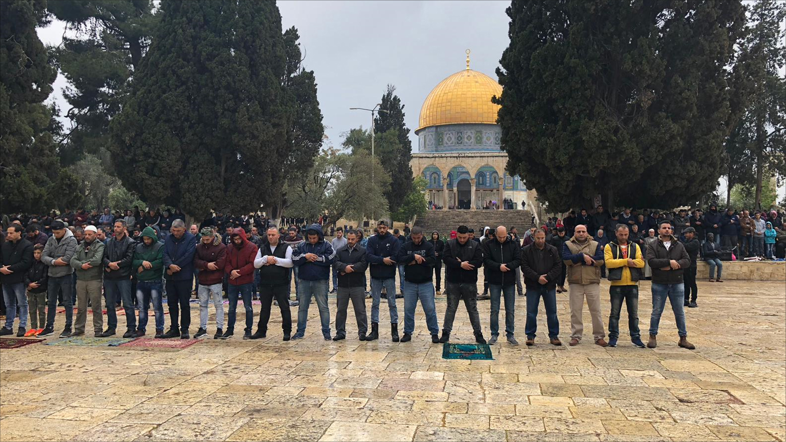 المحلل السياسي الأردني أحمد نوفل استغرب تخصيص التبرع لأوقاف القدس وليس لدعم المقدسيين (الجزيرة)