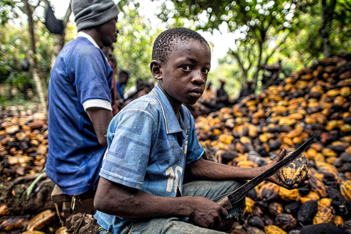 أحد الأطفال العاملين في مزارع إنتاج الكاكاو (مواقع التواصل)
