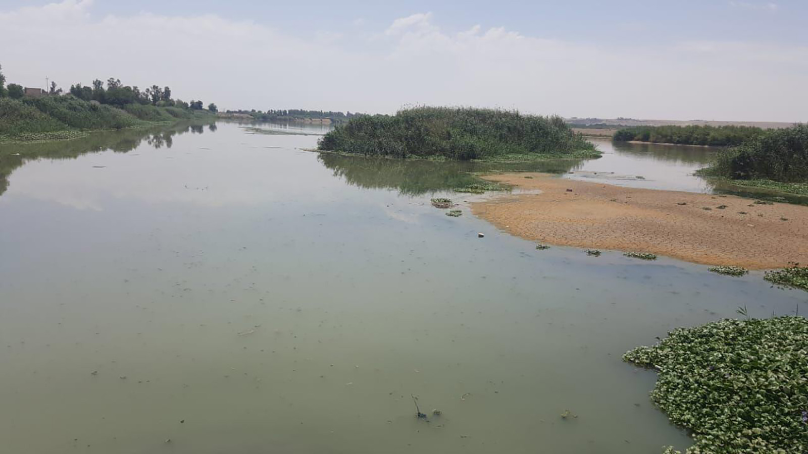 ‪العراق لم يرع مسطحاته المائية سوى بما يقارب 12%‬ العراق لم يرع مسطحاته المائية سوى بما يقارب 12% (الجزيرة)