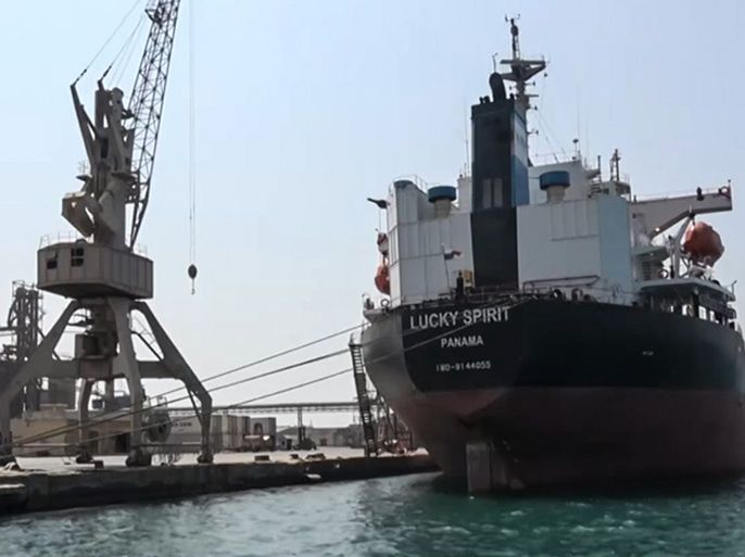وول ستريت: الإمارات استعانت بواشنطن للاستيلاء على ميناء الحديدة