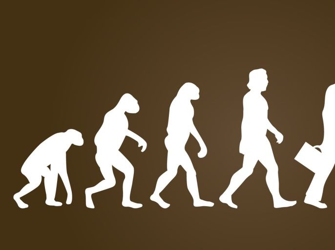 midan - Evolution