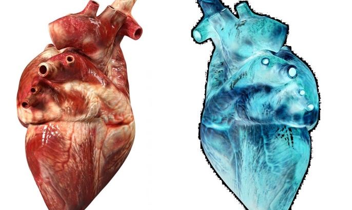 تصميم.. قامت شركة سيمنز هيلثينيترز بتصميم قلب صناعي عبر الذكاء الصناعي، يكون مماثلا للقلب الحقيقي –يسمى التوأم الرقمي digital twin - ، ويتنبأ بكيفية استجابة القلب الحقيقي للعلاج في الواقع.