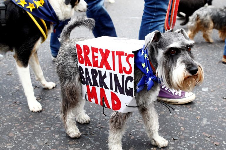 Anti-Brexit protesters and their dogs join a march called 'Wooferendum