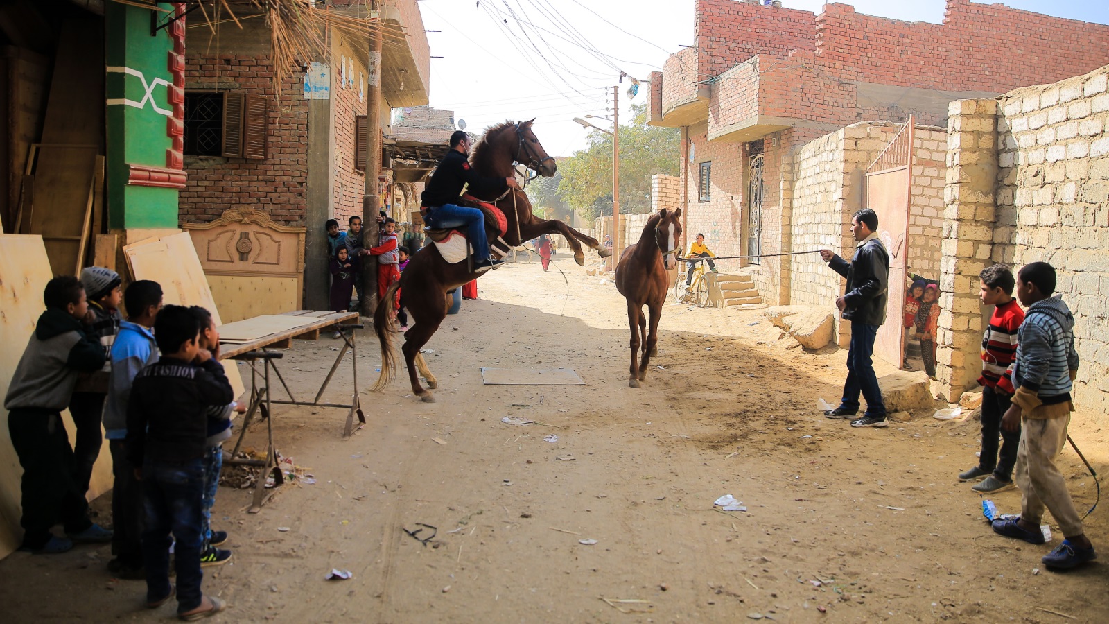 الخيول ومدربوها يتجولون في طرقات القرية (الأناضول)