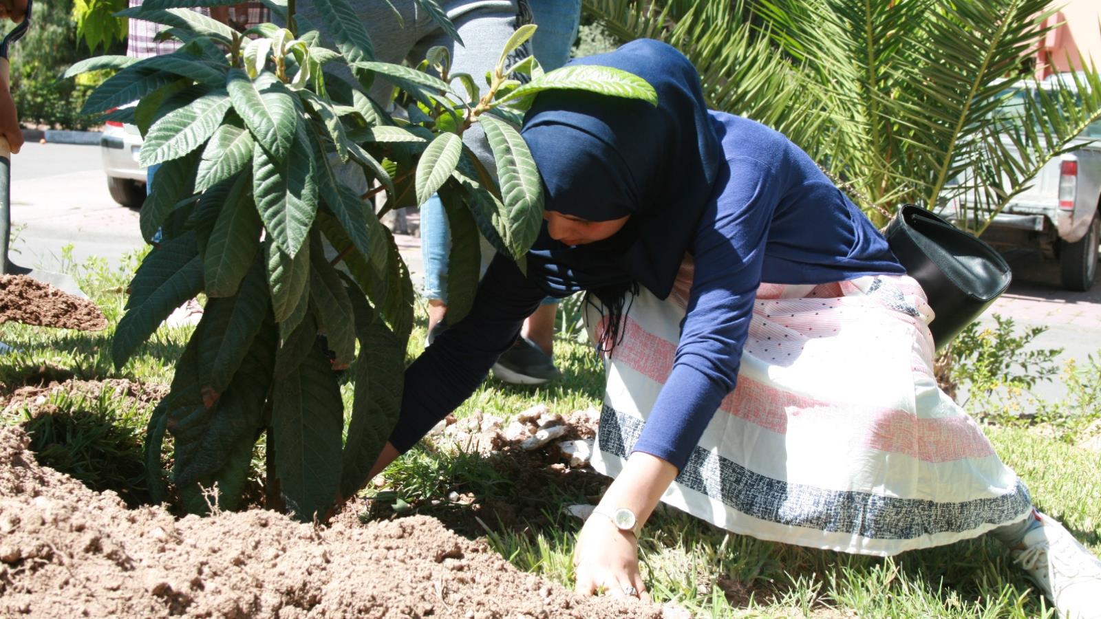 ‪طالبة خلال عملية رمزية لزرع شجرة‬ (الجزيرة)