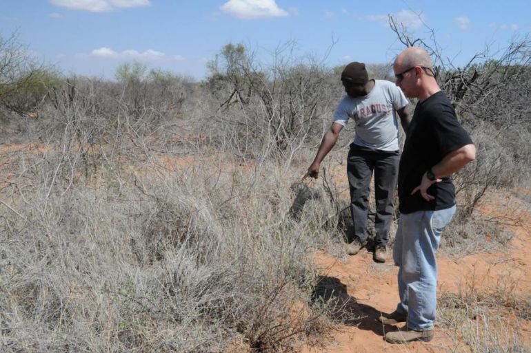 Said سعيد - الباحثون أثناء الدراسة في متنزه سيرينغيتي الوطني في شمال تنزانيا (الصورة متاحة للاستخدام مجانا) - الأنشطة البشرية تهدد النظام البيئي في أفريقيا