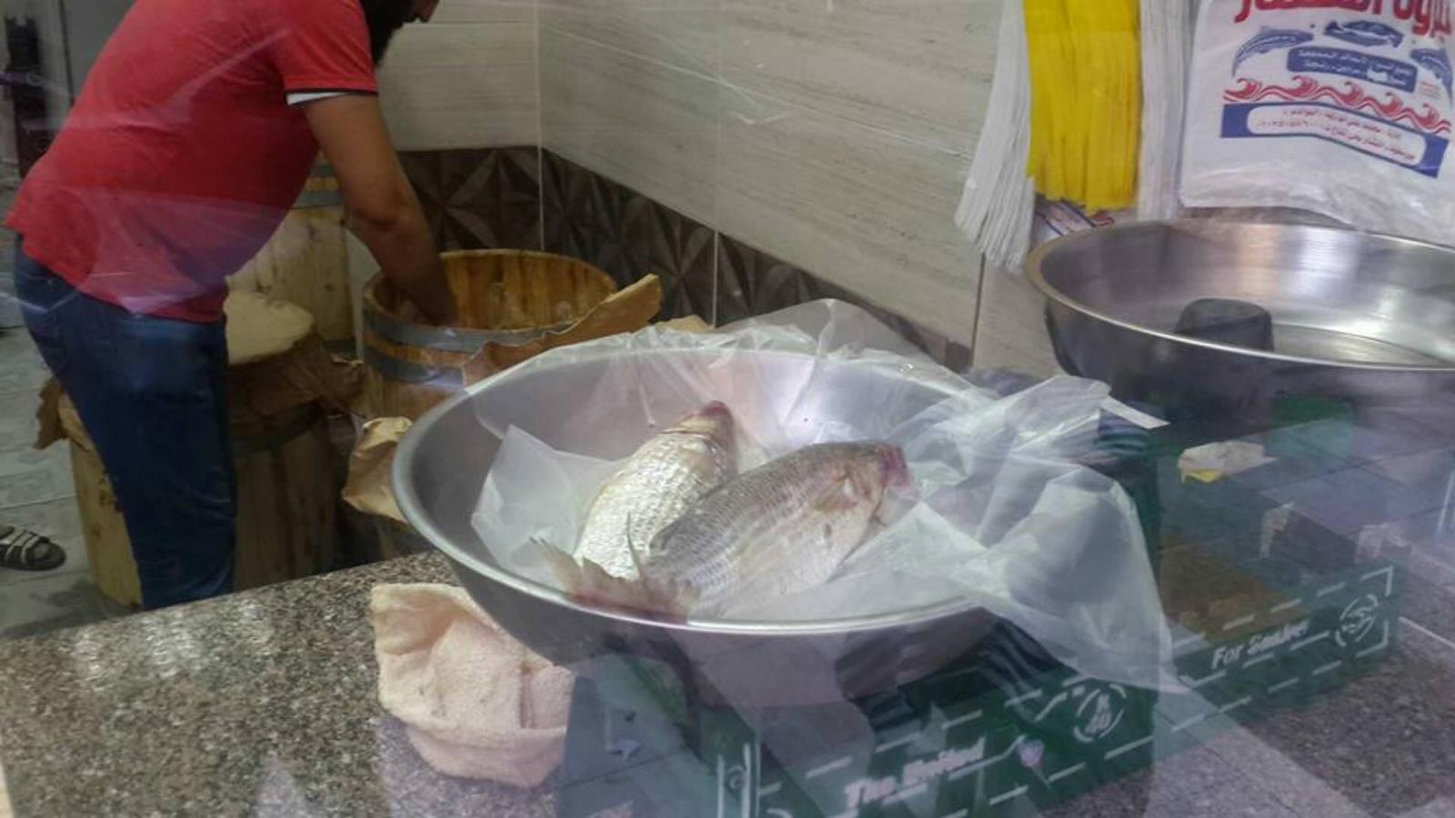 ‪نبروه أشهر مدن تصنيع سمك الفسيخ في مصر‬ (مواقع التواصل)