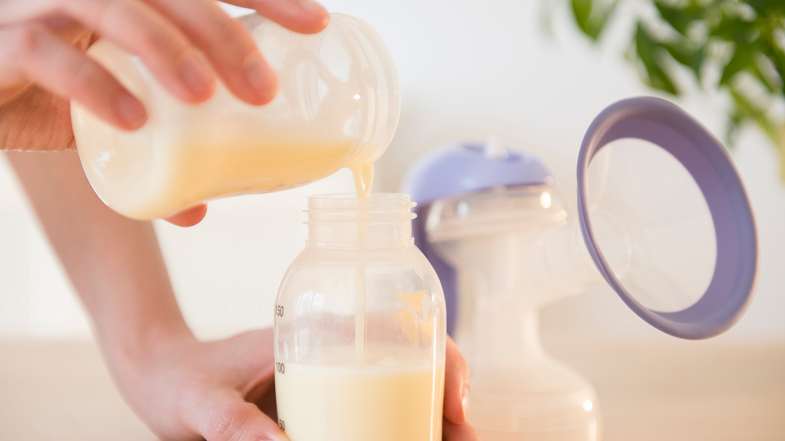 ‪يجب اتباع الإرشادات والمعايير المنصوص عليها على علبة الحليب‬ (غيتي)